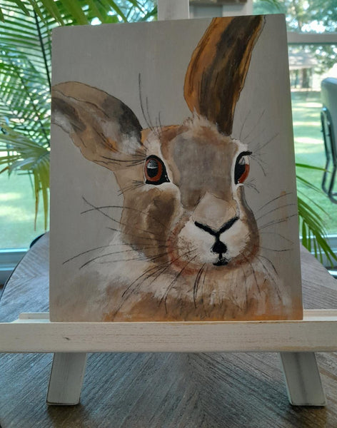 #D2   You Looking At Me Rabbit