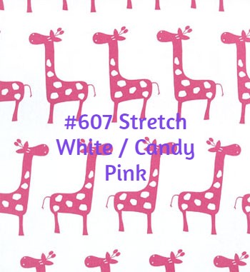 Etsy Info #168 Nursery Giraffe Roman