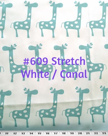 Etsy Info #168 Nursery Giraffe Roman