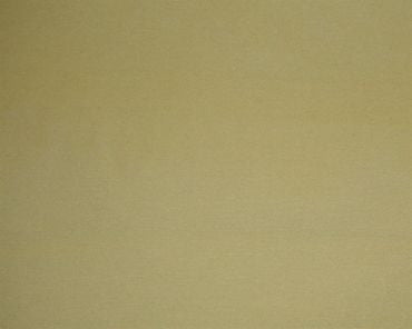 Fabric  #9219