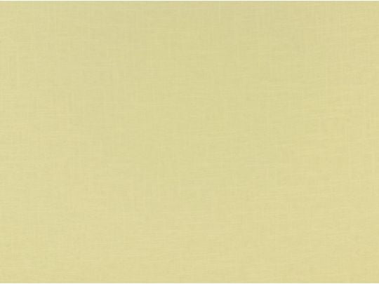 #3050 Linen Smocked Drapes